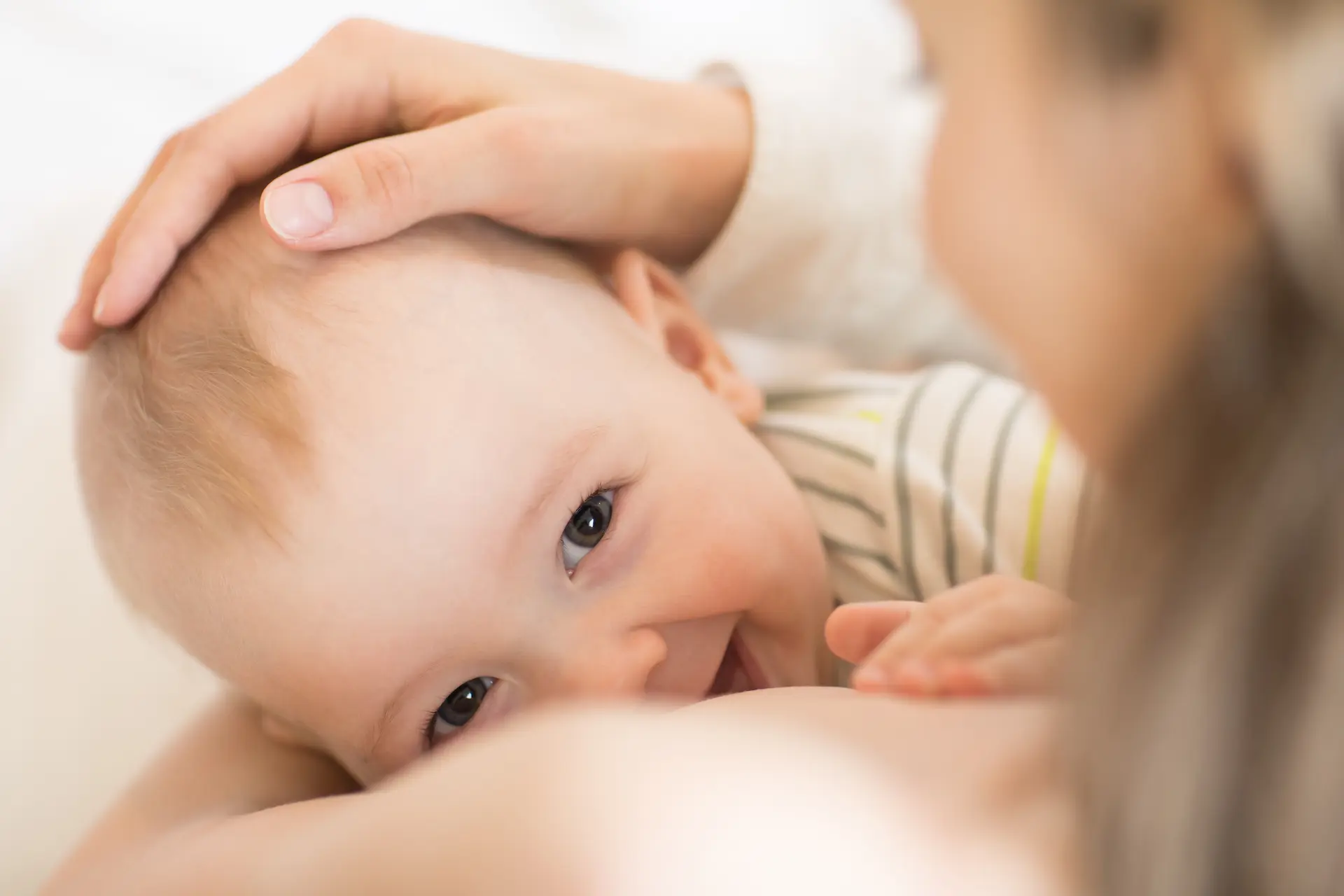 close up of baby feeding